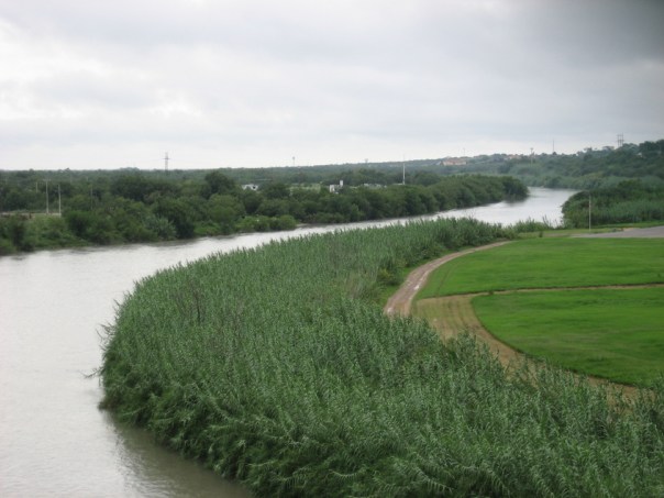 Carrizales en la vega del Río Grande/Bravo, a la altura de Eagle Pass
